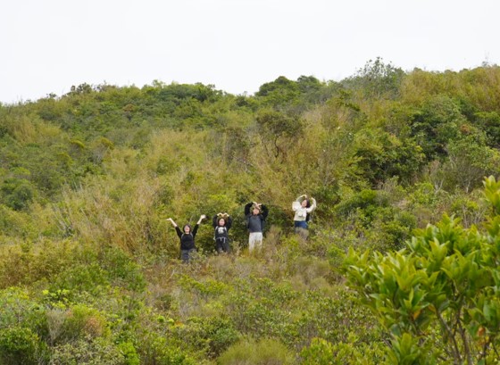 Go hiking!